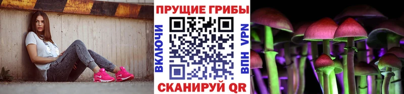 продажа наркотиков  Байкальск  Галлюциногенные грибы Cubensis 